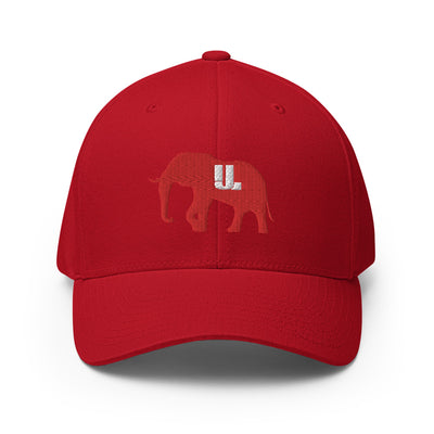 Big RED logo dad hat