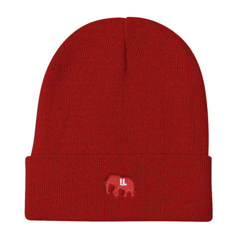 Classic red Knit Beanie